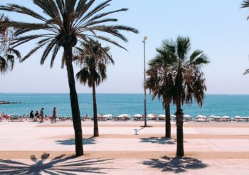 No Barcelona Beach Festival in 2023